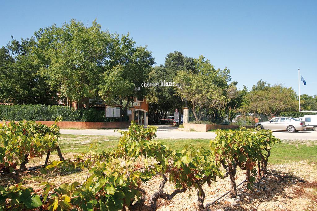 Domaine Les Chenes Blancs 호텔 생-사튀르냉-답트 외부 사진